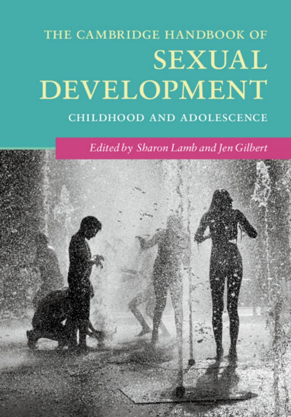 Big bigCover of The Cambridge Handbook of Sexual Development