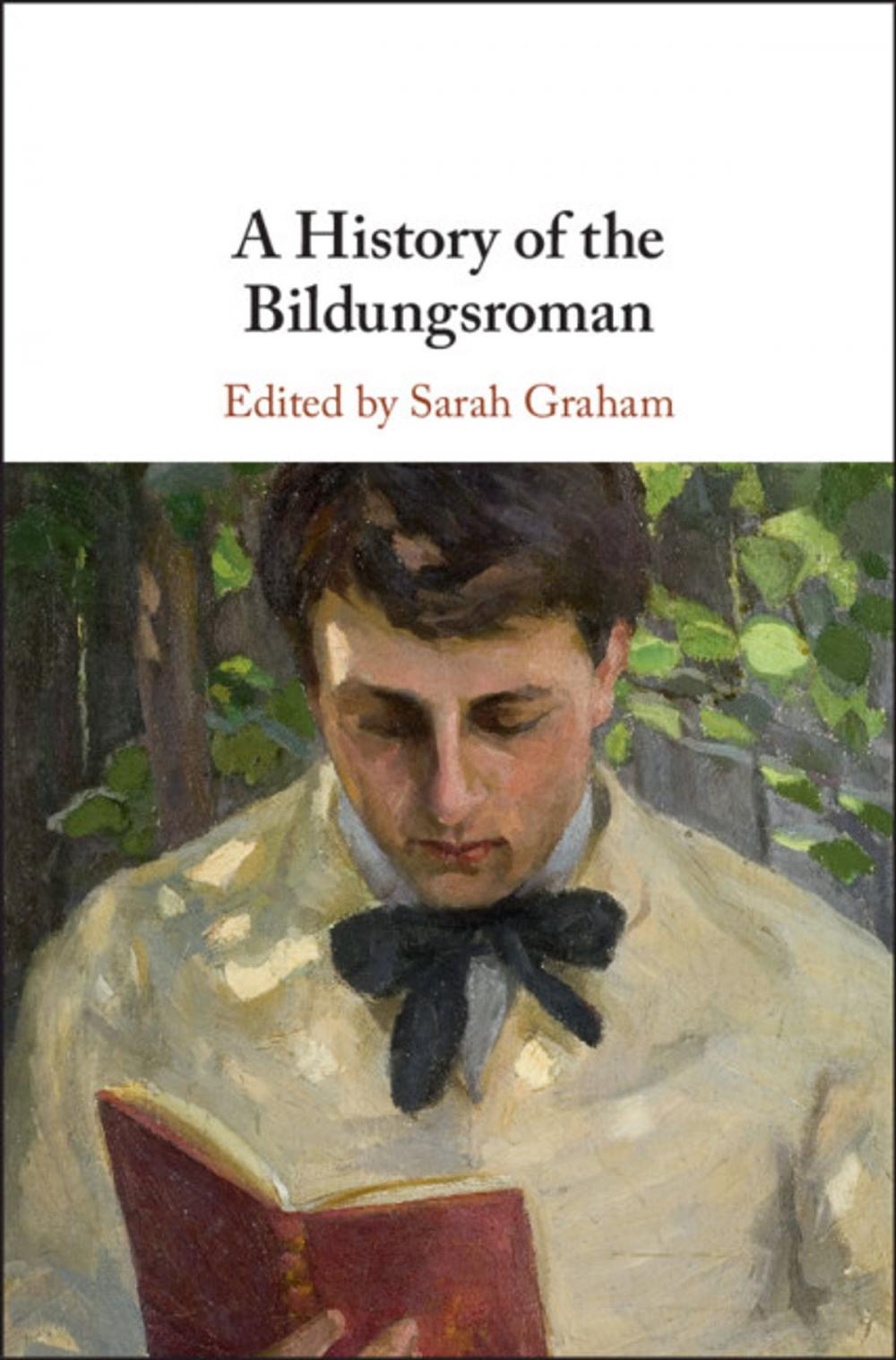 Big bigCover of A History of the Bildungsroman