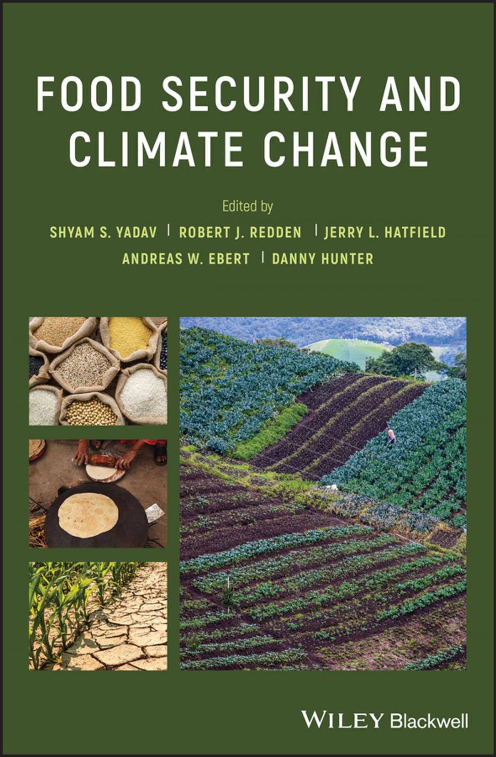 Big bigCover of Food Security and Climate Change