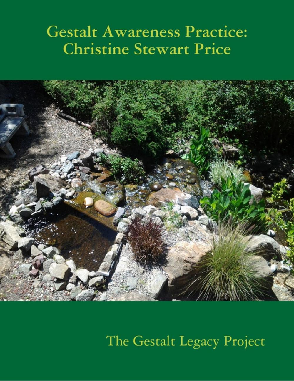 Big bigCover of Gestalt Awareness Practice: Christine Stewart Price