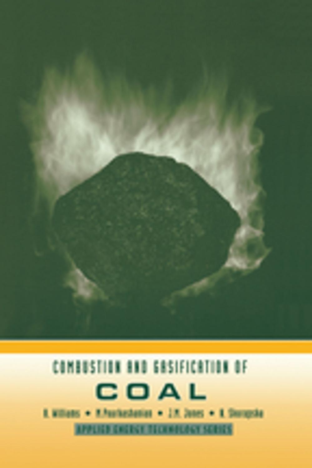 Big bigCover of Combustion and Gasification of Coal