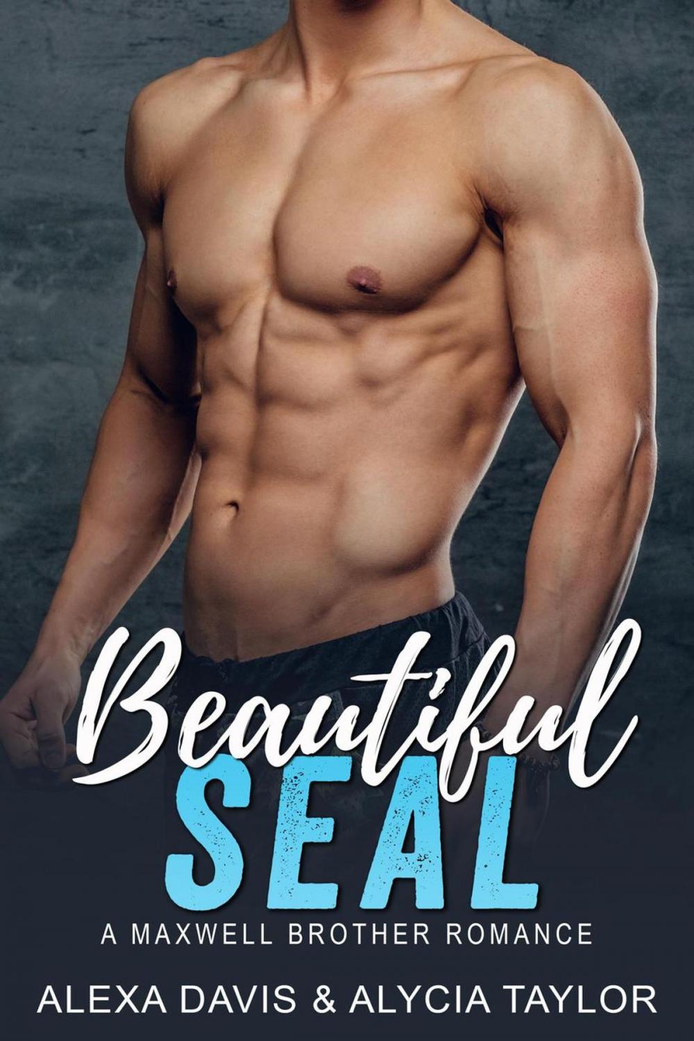 Big bigCover of Beautiful Seal