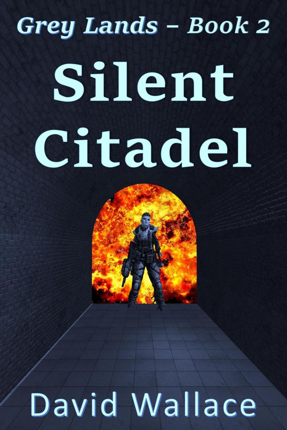 Big bigCover of Silent Citadel