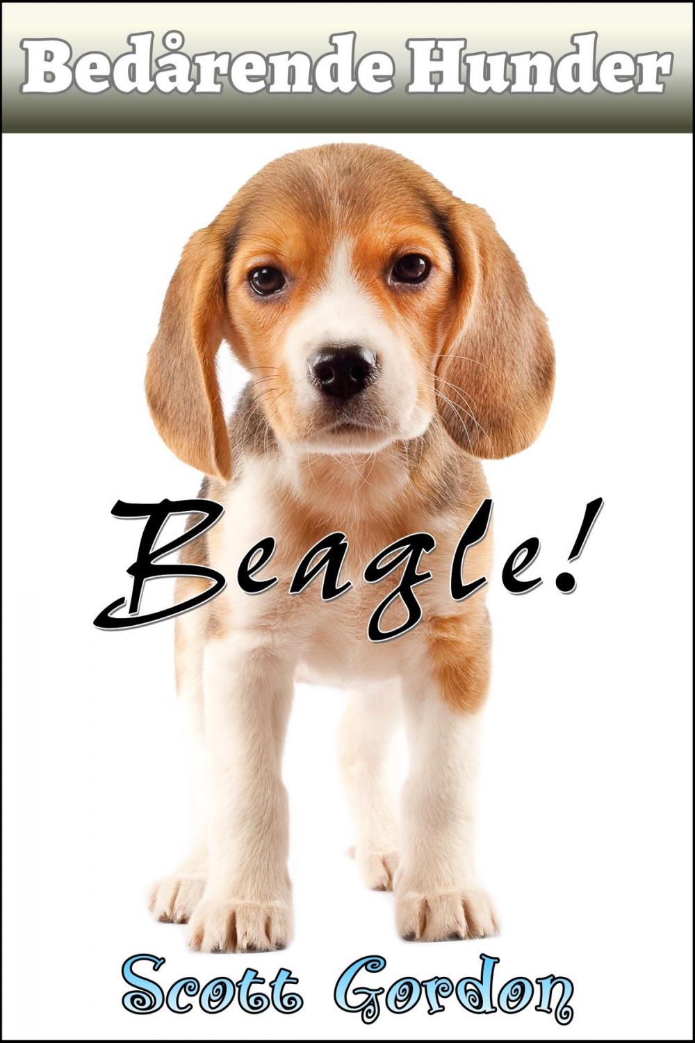 Big bigCover of Bedårende Hunder: Beagle