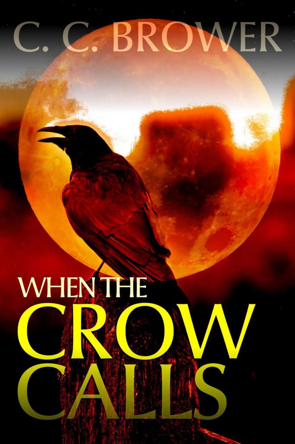 Big bigCover of When the Crow Calls