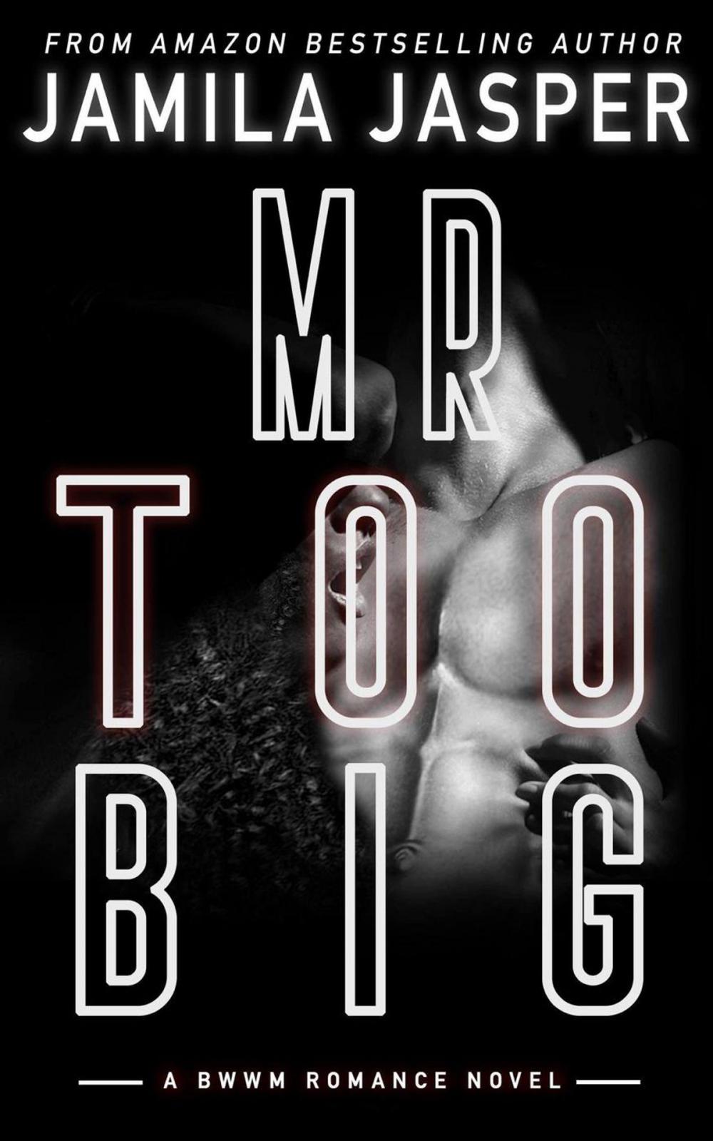 Big bigCover of Mr. Too Big: BWWM Hitman Romance Novella