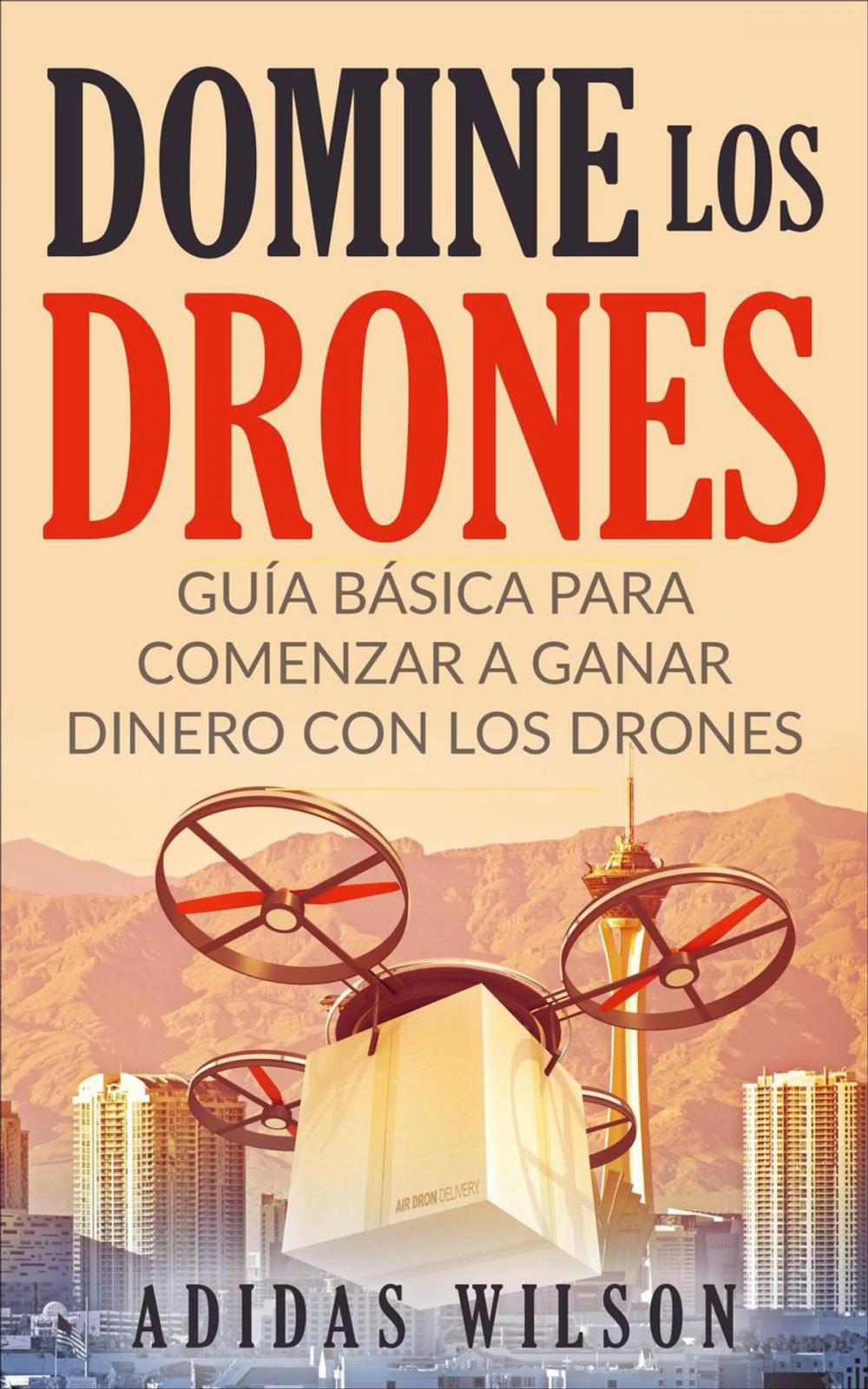 Big bigCover of Domine Los Drones, Guía Básica para Comenzar a Ganar Dinero con los Drones