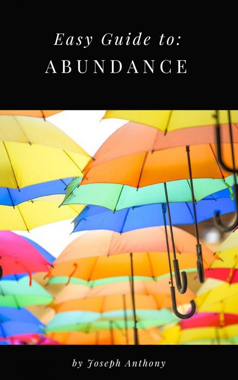 Big bigCover of Easy Guide to: Abundance