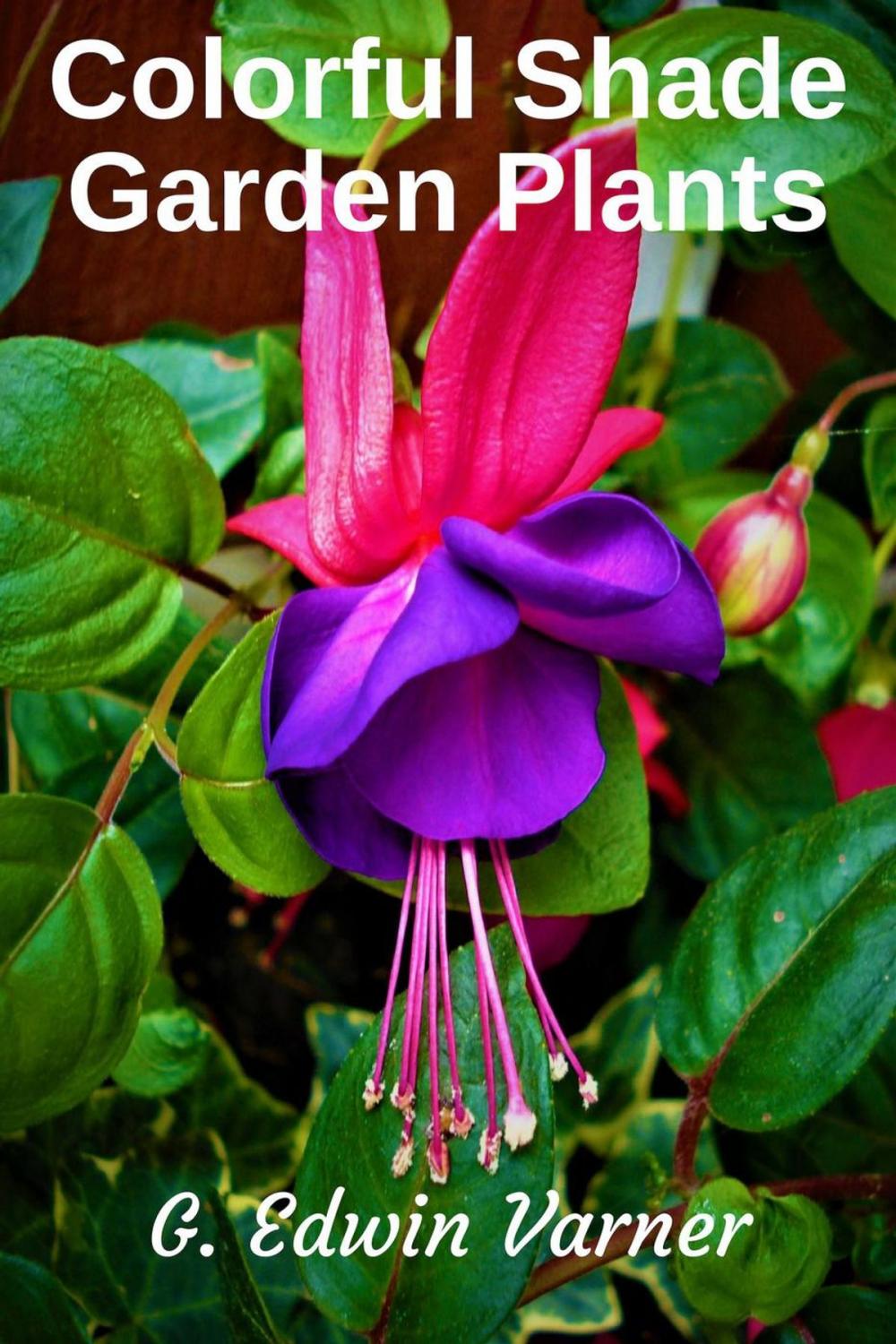 Big bigCover of Colorful Shade Garden Plants