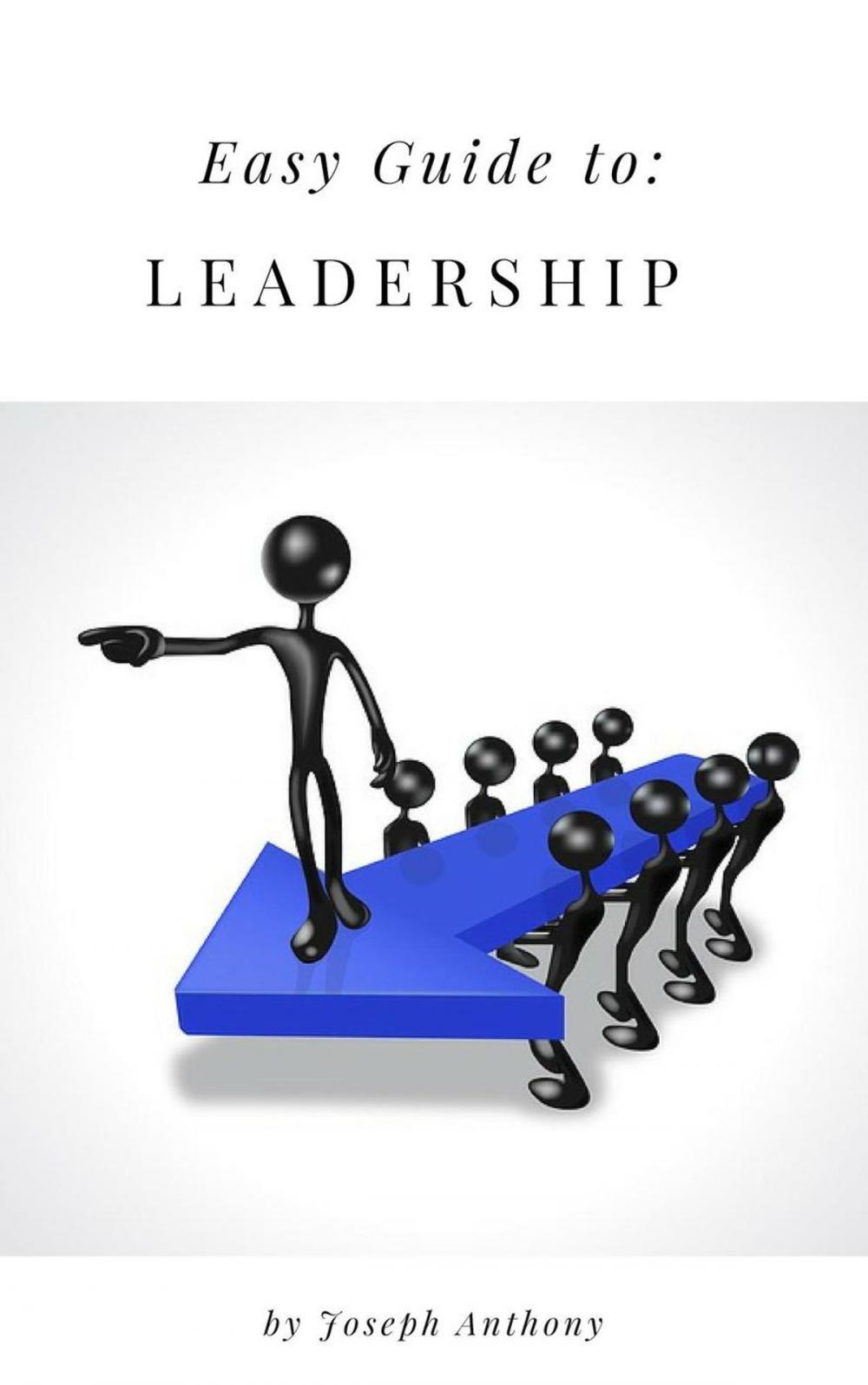 Big bigCover of Easy Guide to: Leadership