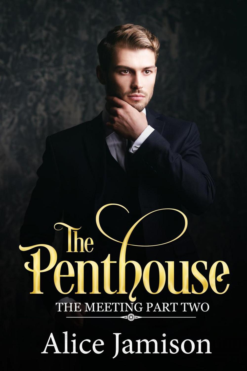 Big bigCover of The Penthouse (The Meeting Part Two)