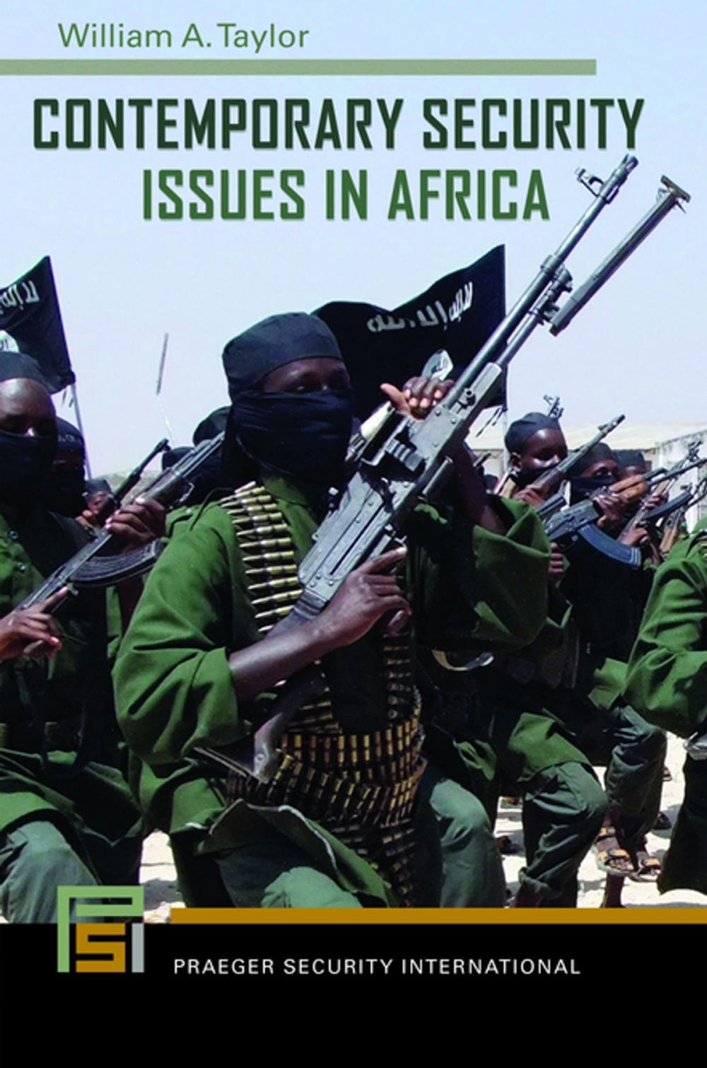 Big bigCover of Contemporary Security Issues in Africa