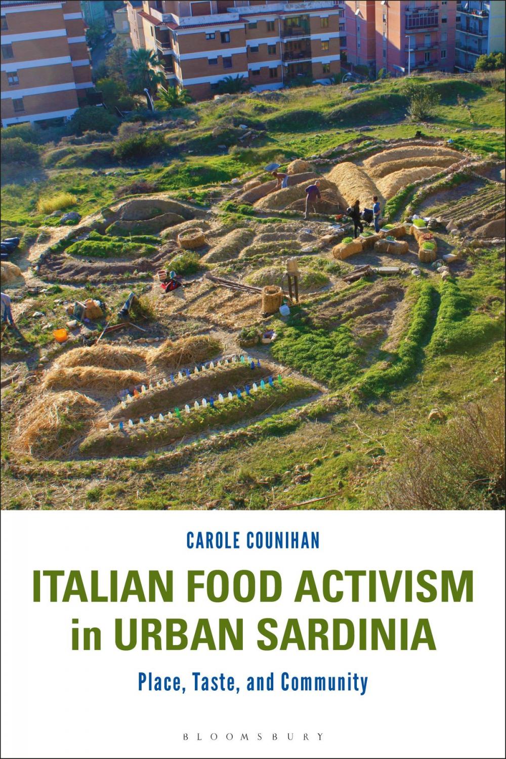 Big bigCover of Italian Food Activism in Urban Sardinia