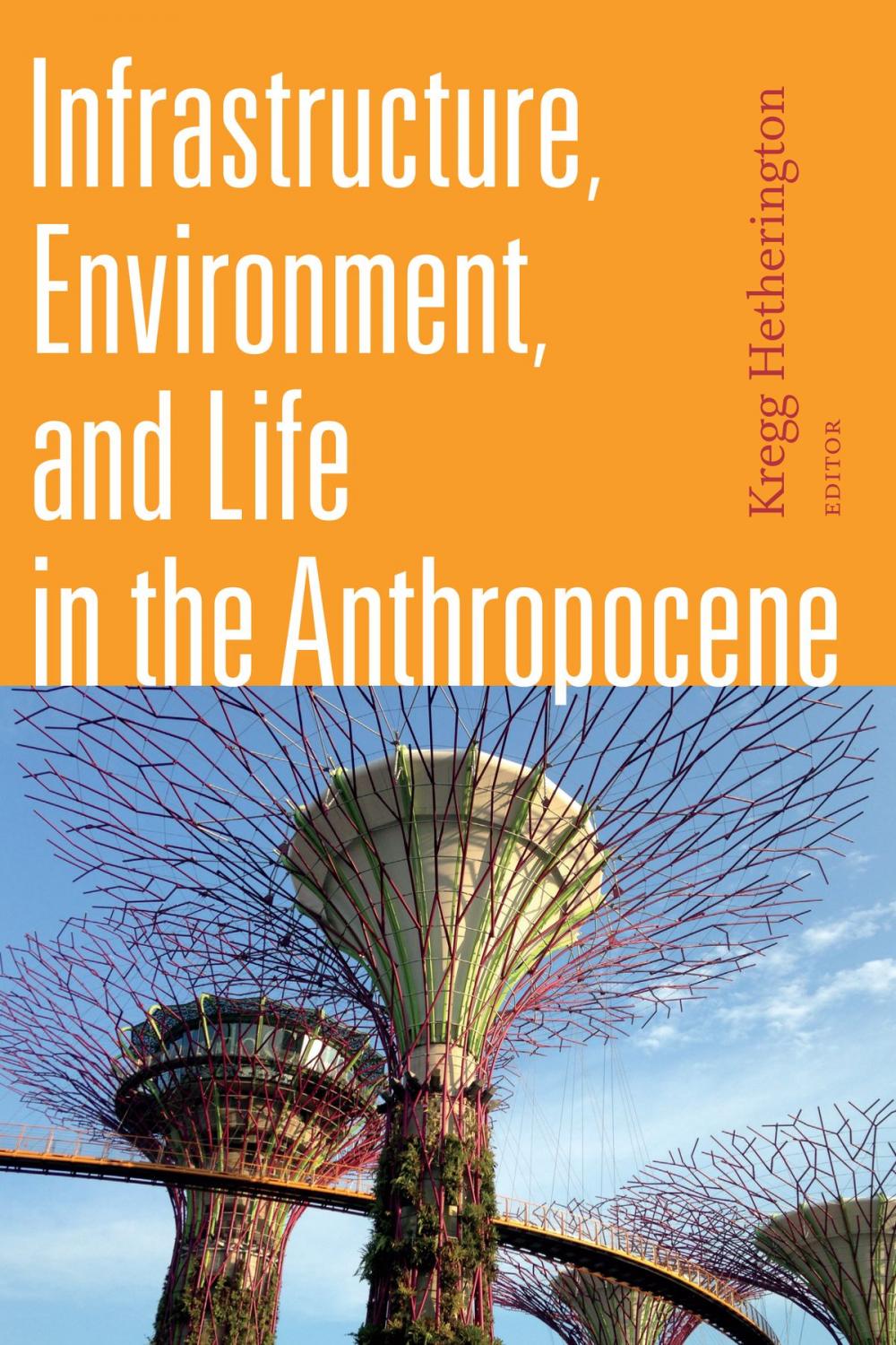 Big bigCover of Infrastructure, Environment, and Life in the Anthropocene