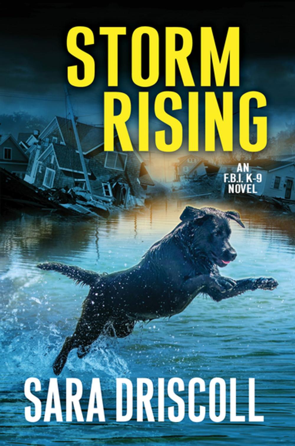 Big bigCover of Storm Rising