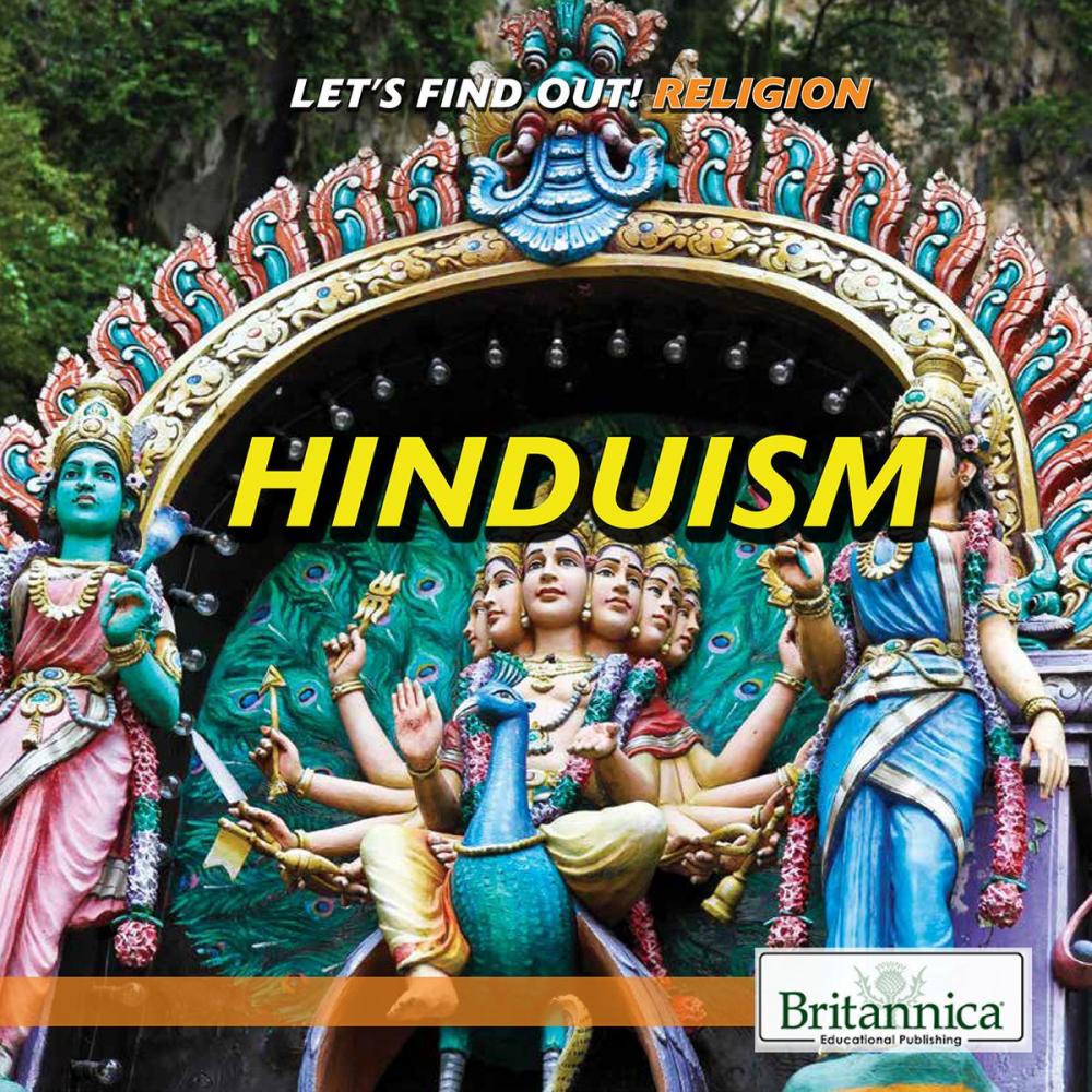 Big bigCover of Hinduism