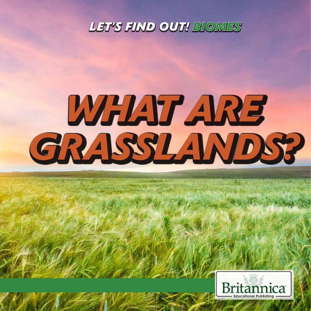 Big bigCover of What Are Grasslands?