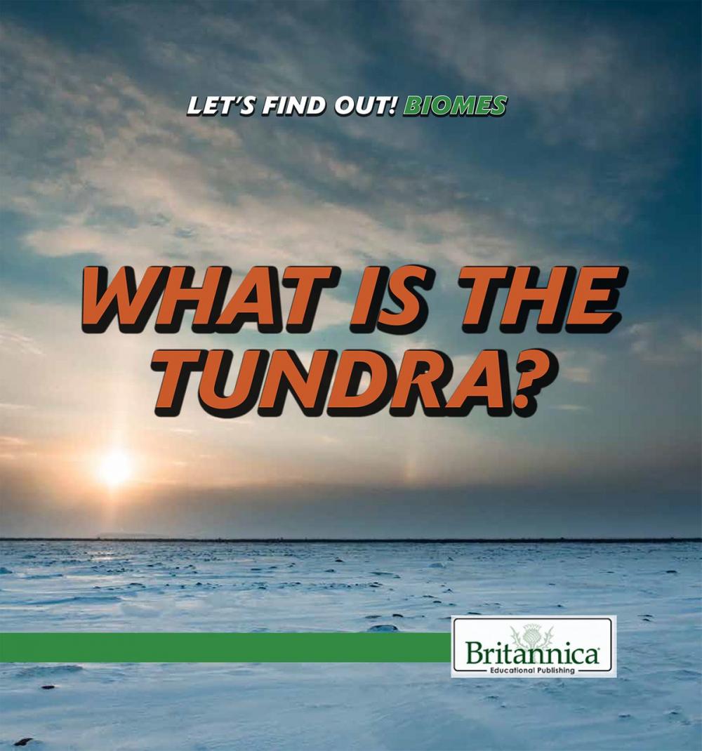 Big bigCover of What Is the Tundra?