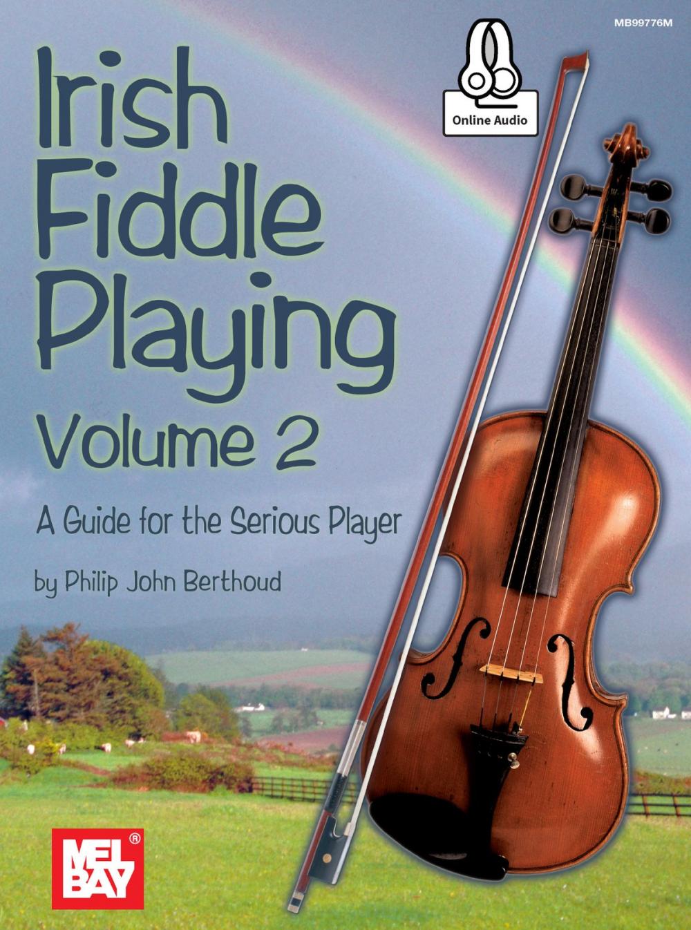 Big bigCover of Irish Fiddle Playing