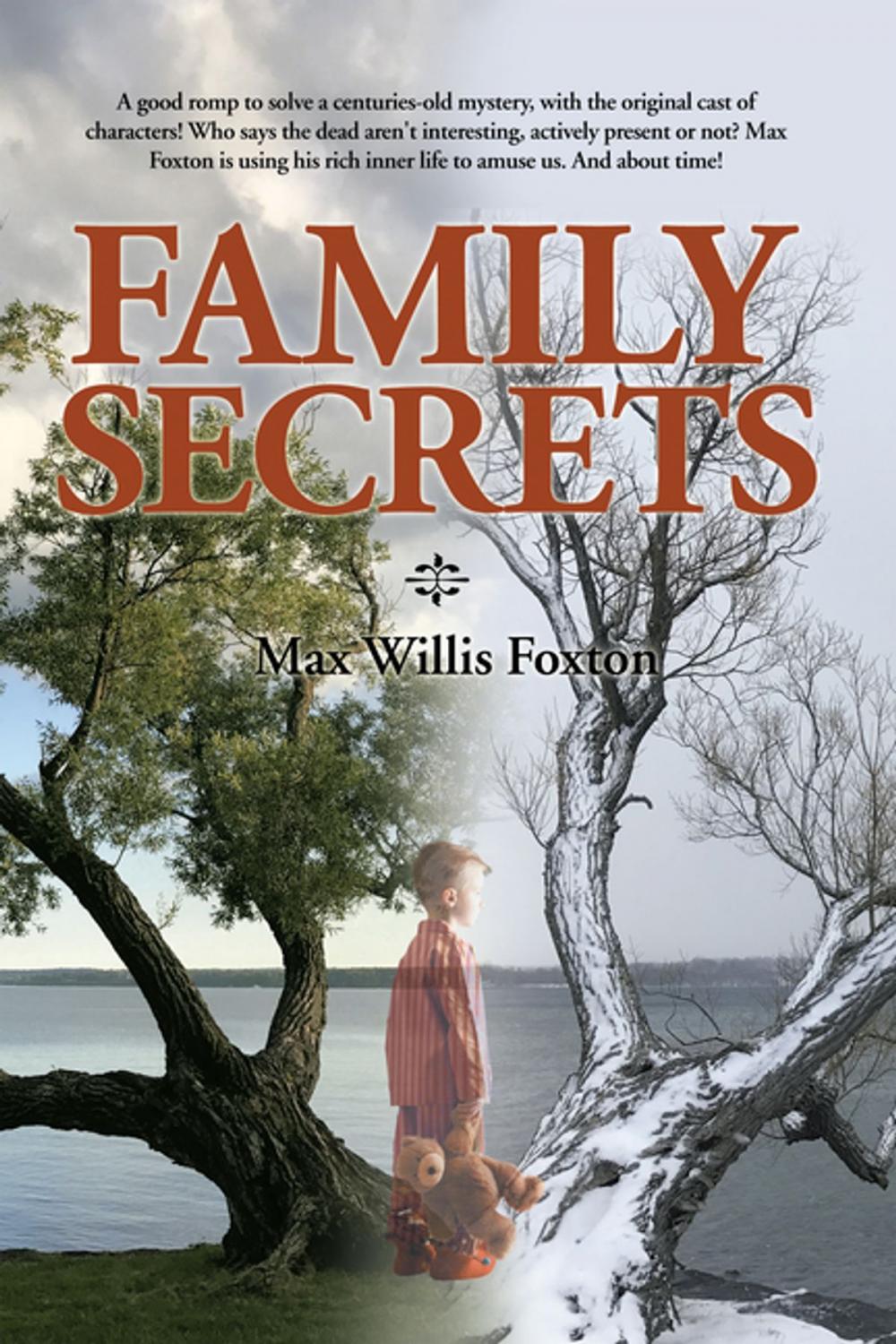 Big bigCover of Family Secrets