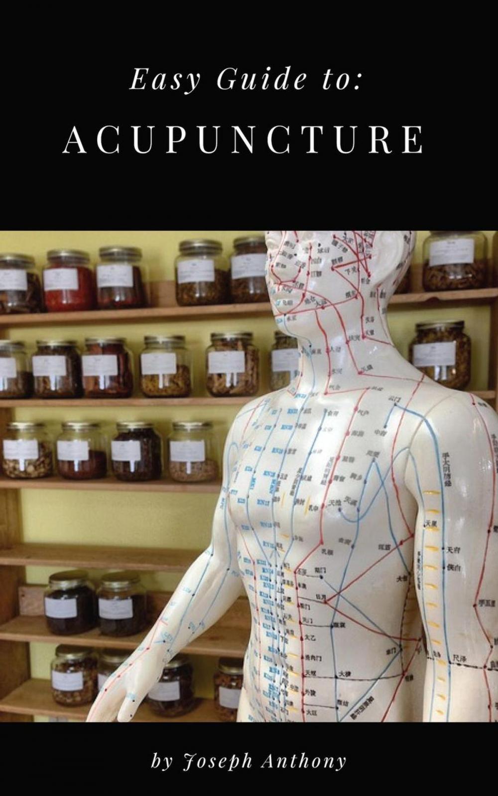 Big bigCover of Easy Guide to: Acupuncture