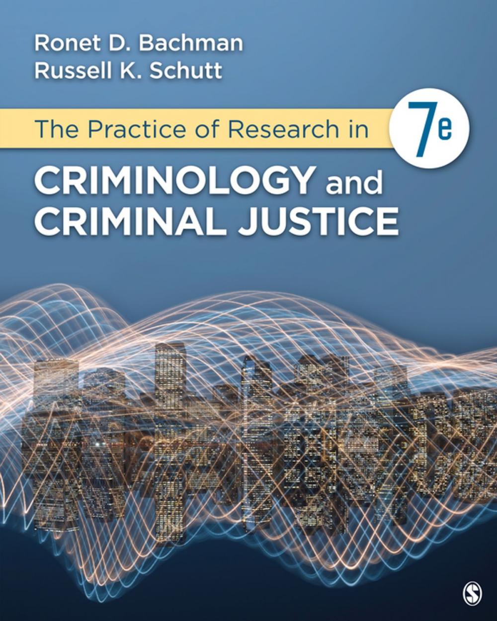 Big bigCover of The Practice of Research in Criminology and Criminal Justice