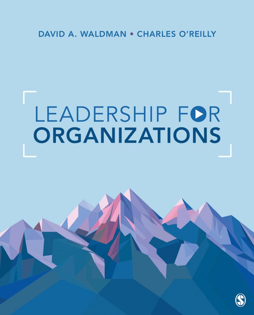 Big bigCover of Leadership for Organizations