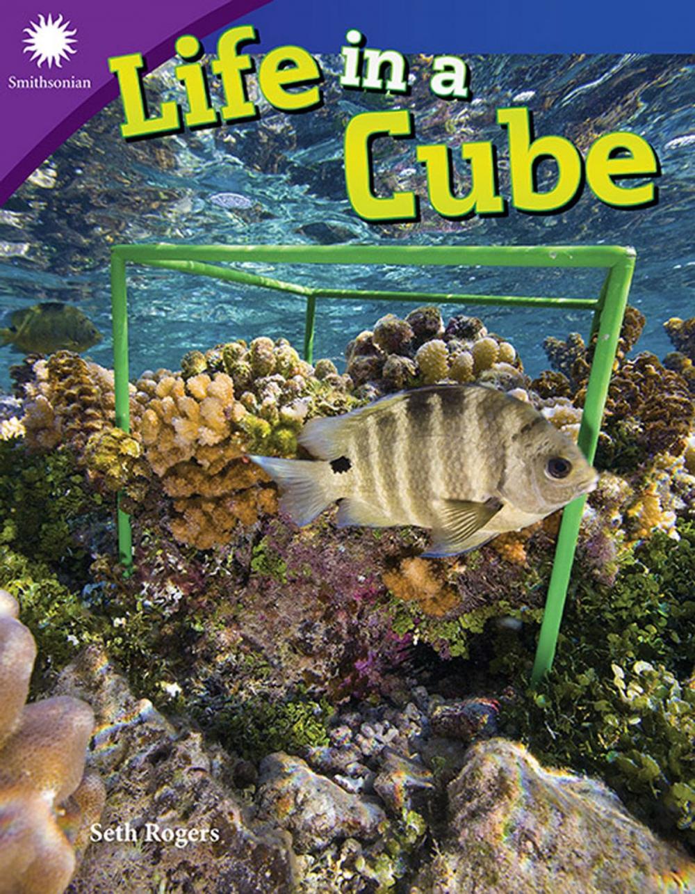 Big bigCover of Life in a Cube