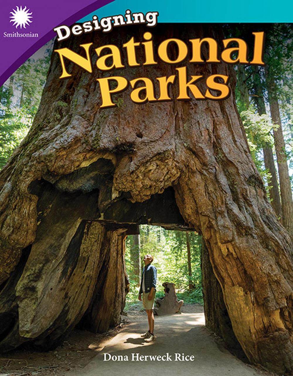 Big bigCover of Designing National Parks