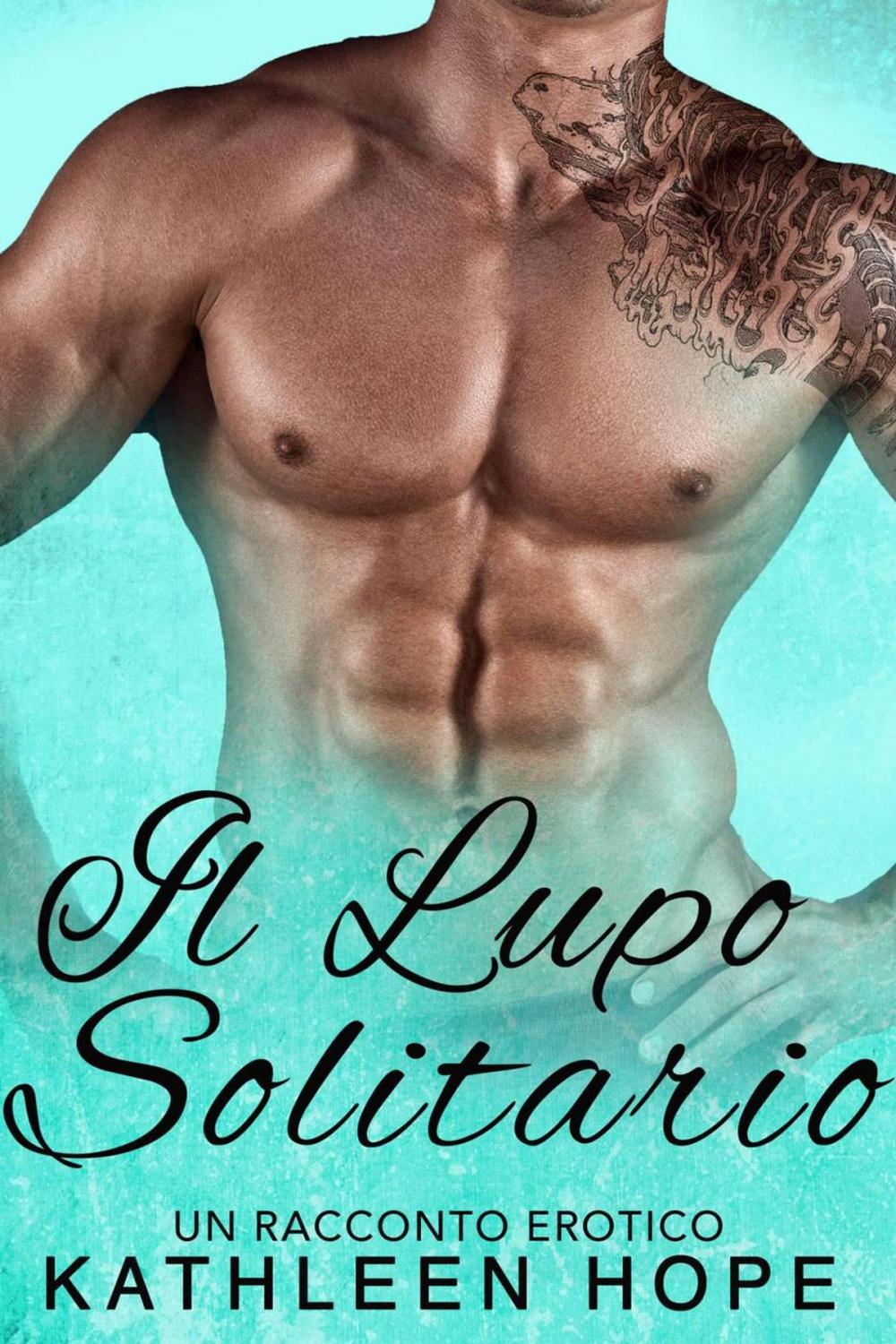 Big bigCover of Il Lupo Solitario: un racconto erotico