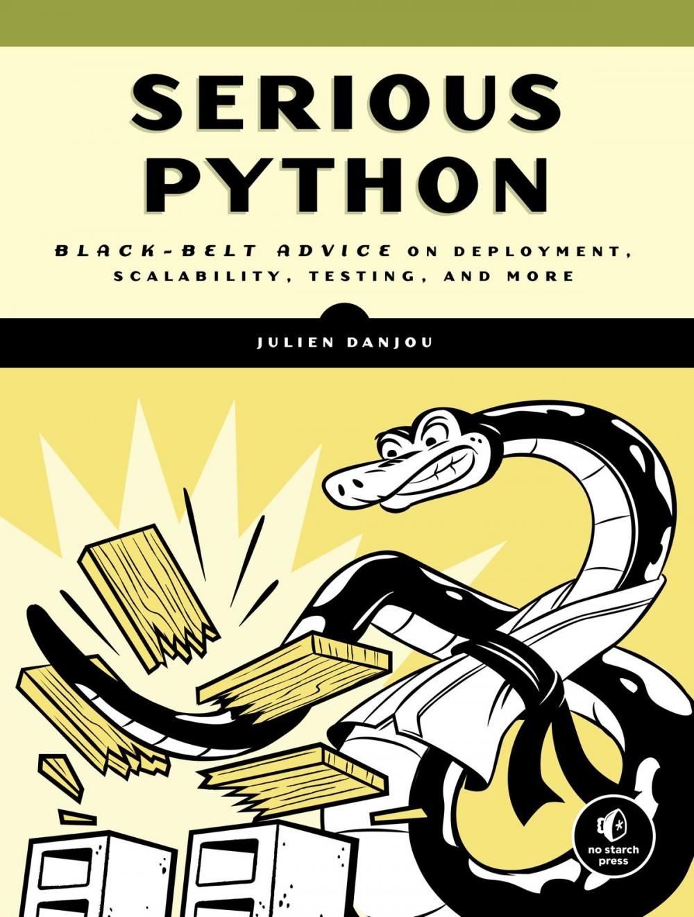 Big bigCover of Serious Python