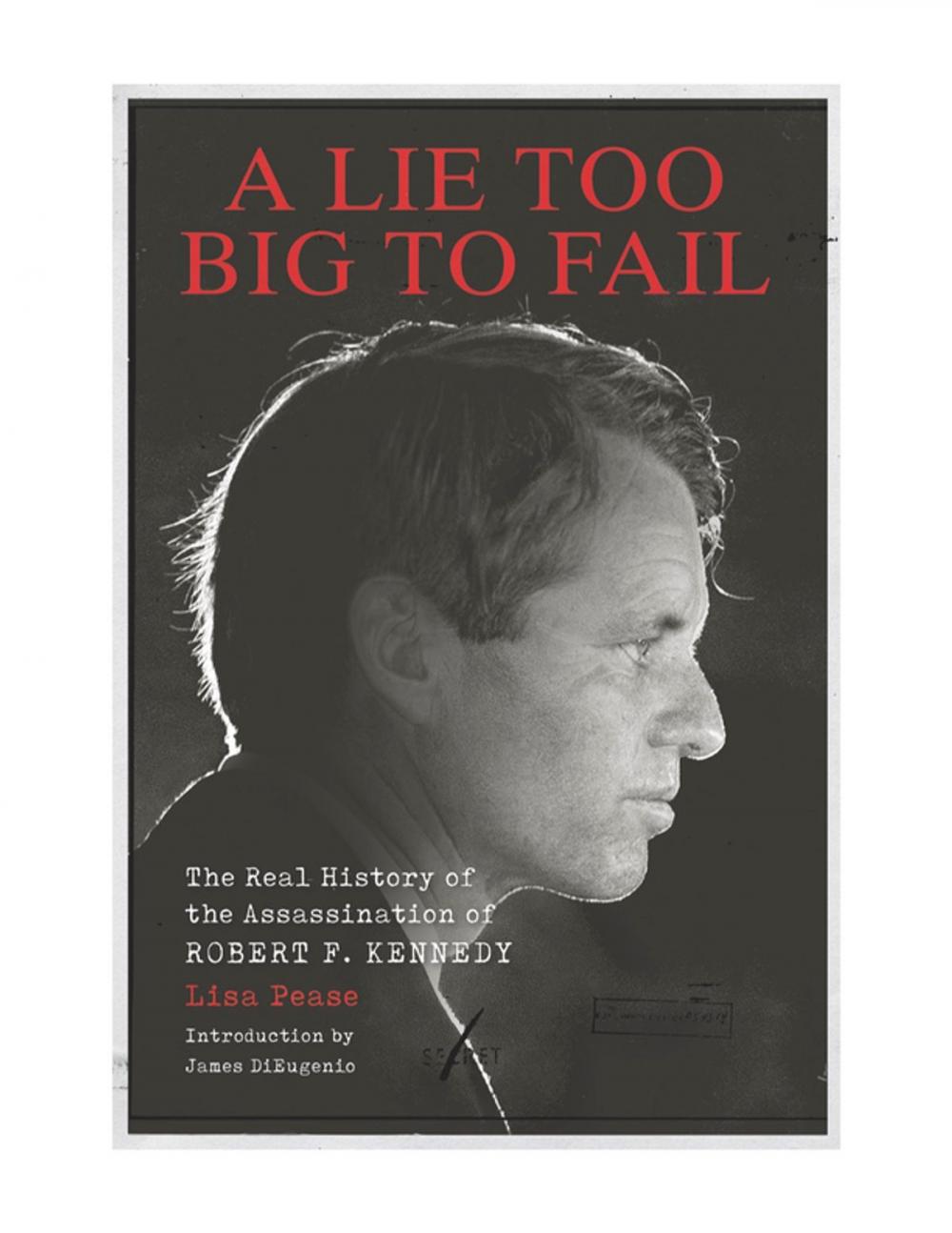 Big bigCover of A Lie Too Big to Fail