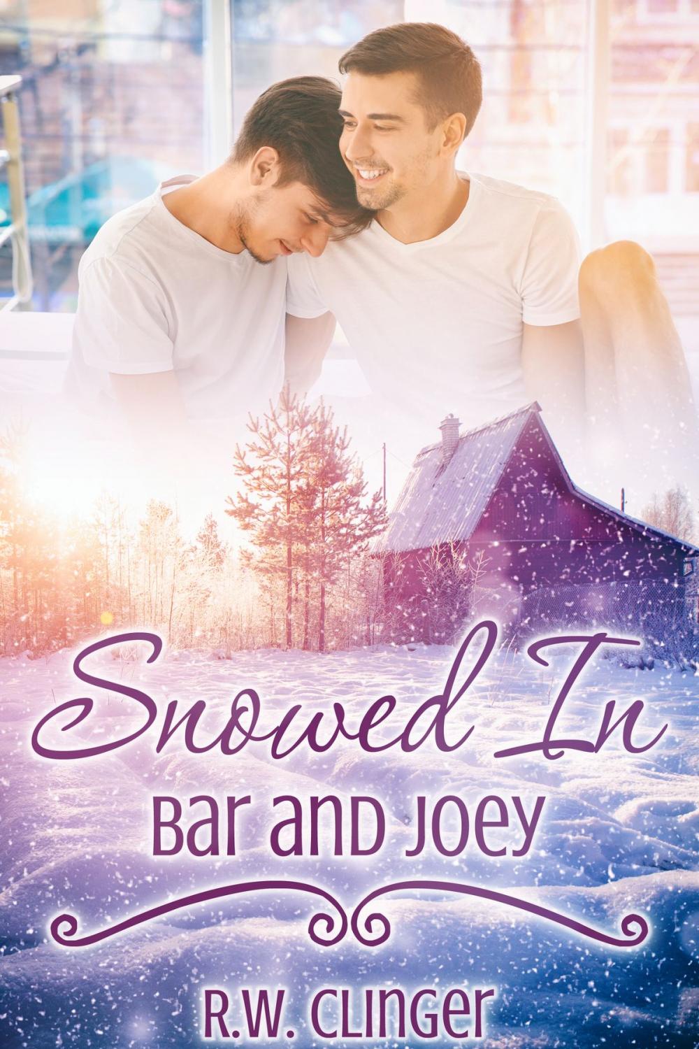 Big bigCover of Snowed In: Bar and Joey