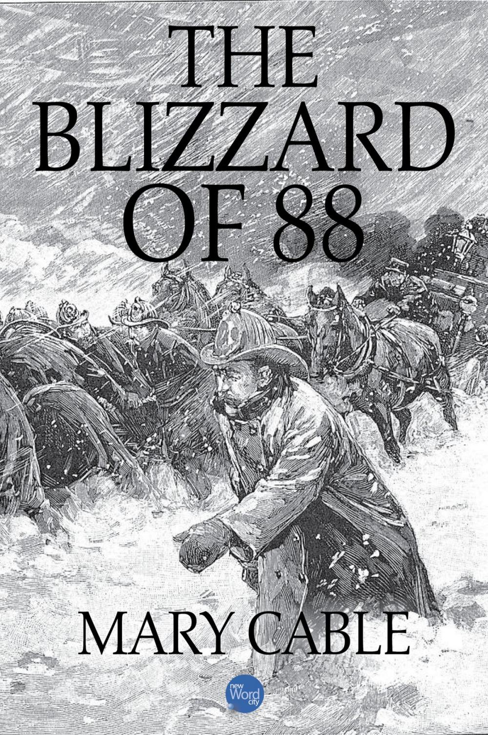 Big bigCover of The Blizzard of 88