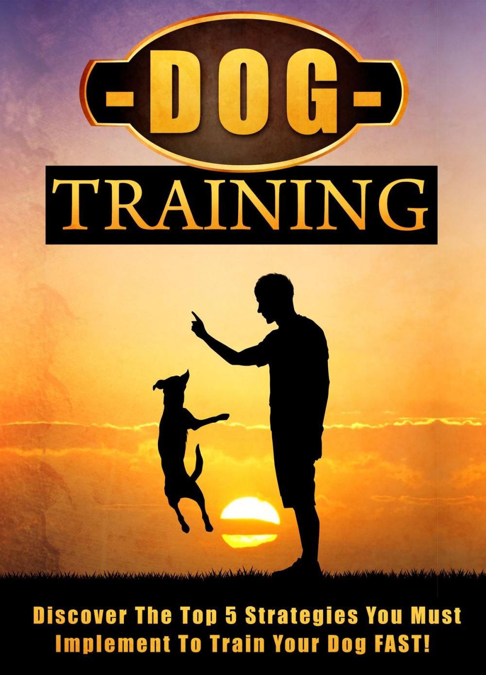 Big bigCover of Dog Training Discover The Top 5 Strategies You Must Implement To Train Your Dog FAST!