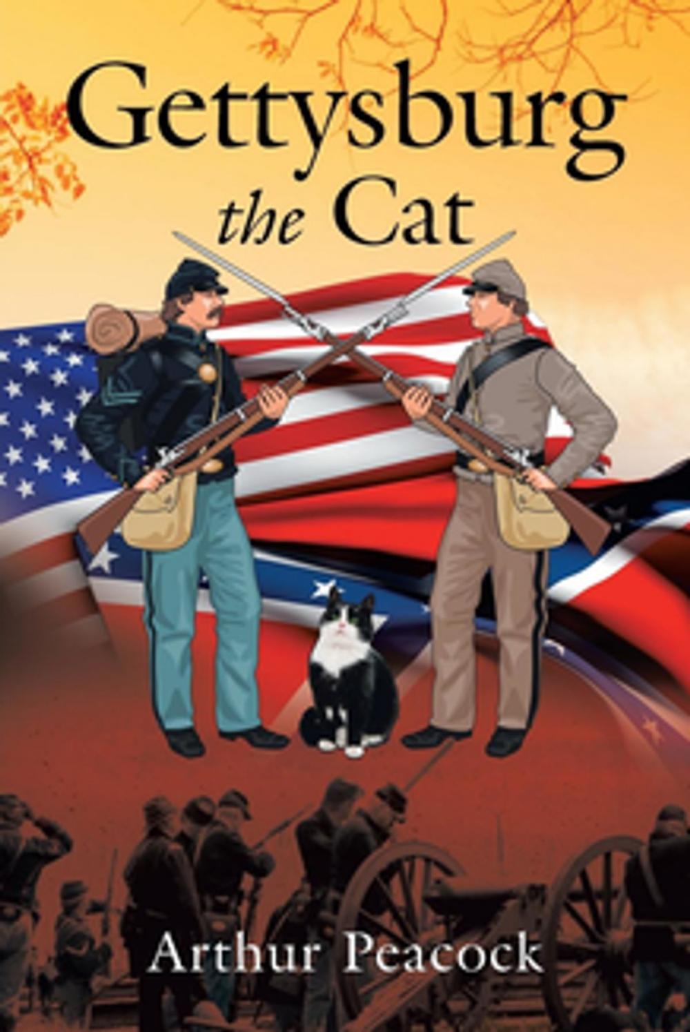 Big bigCover of Gettysburg the Cat