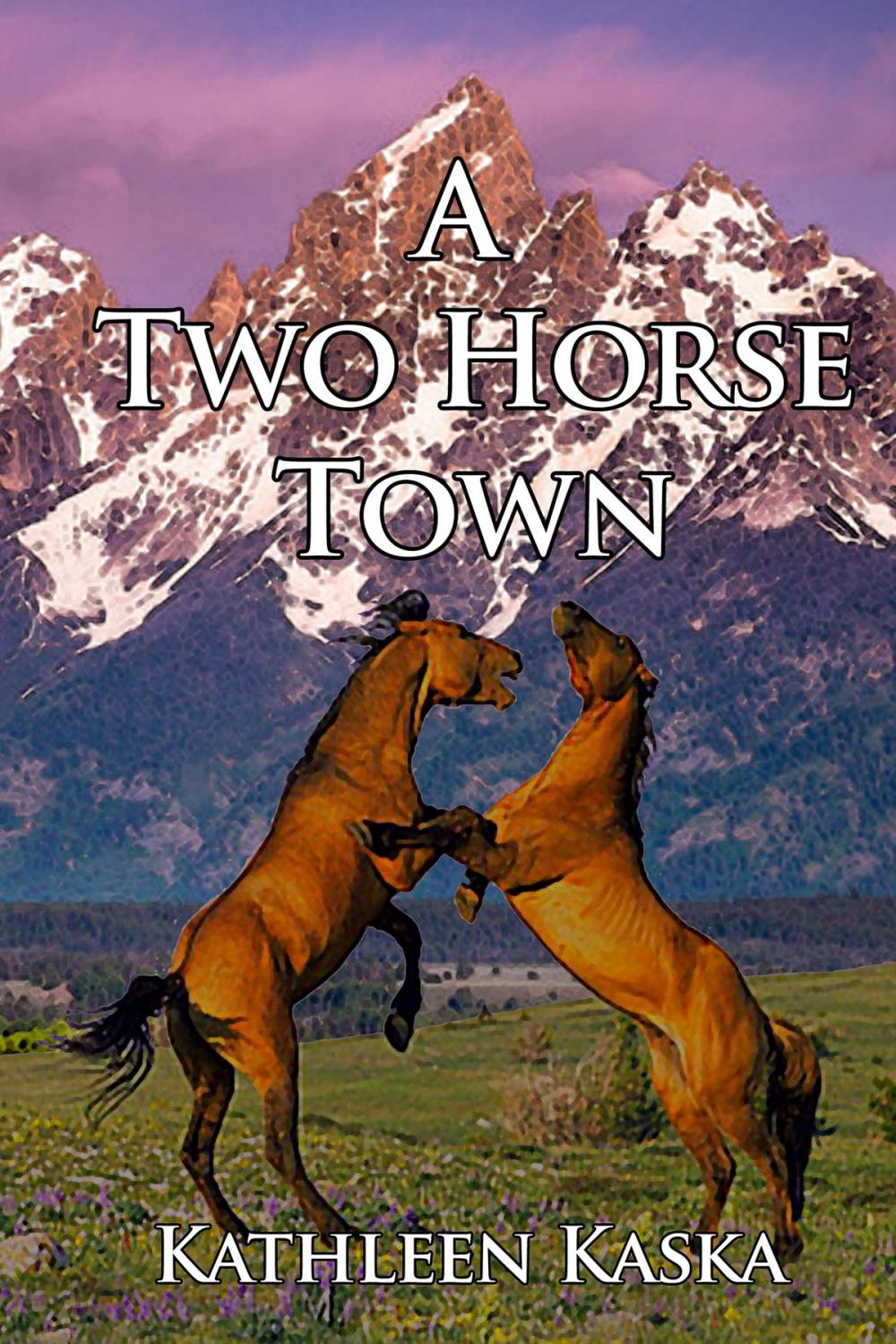 Big bigCover of A Two Horse Town