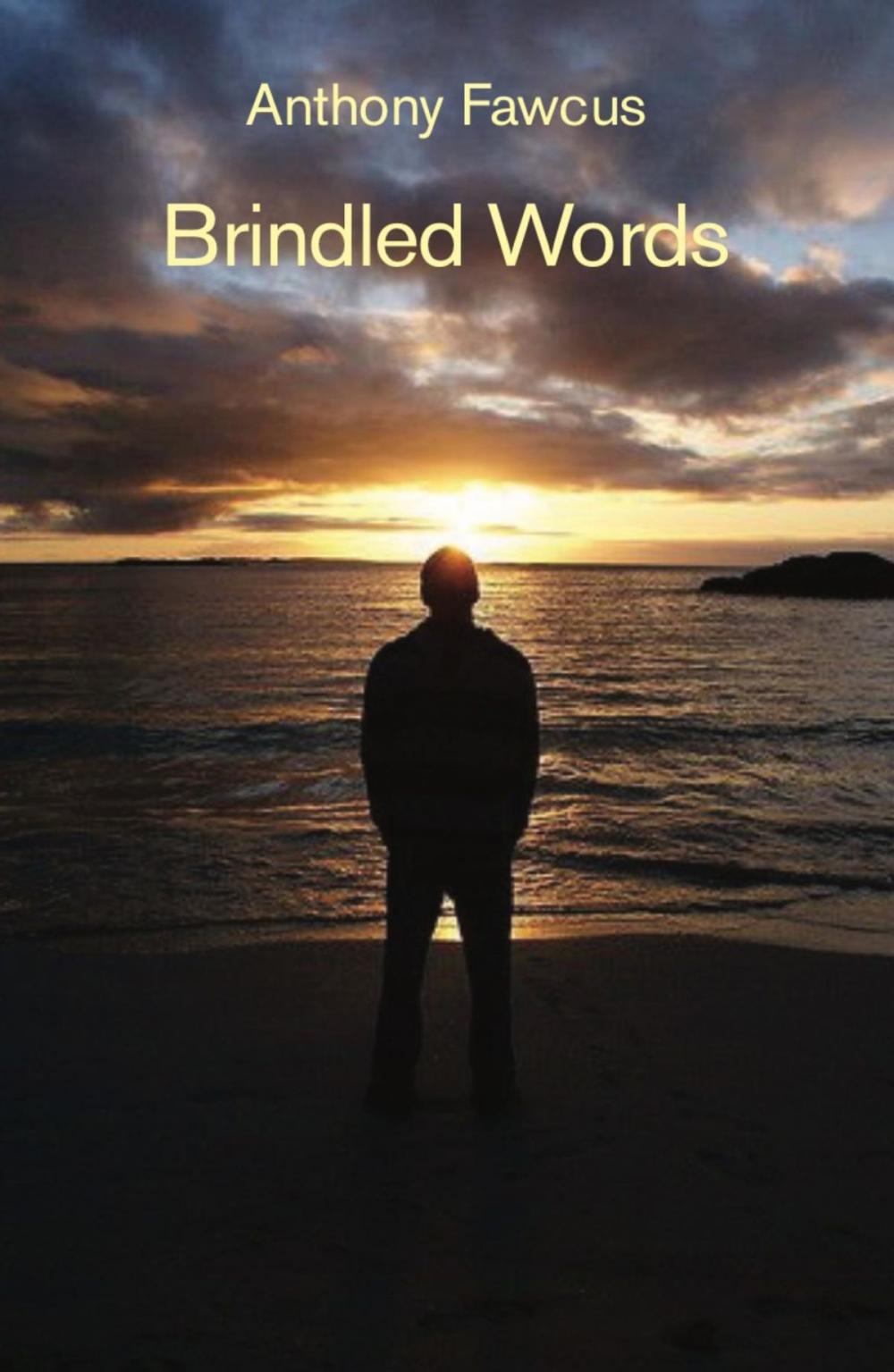 Big bigCover of Brindled Words