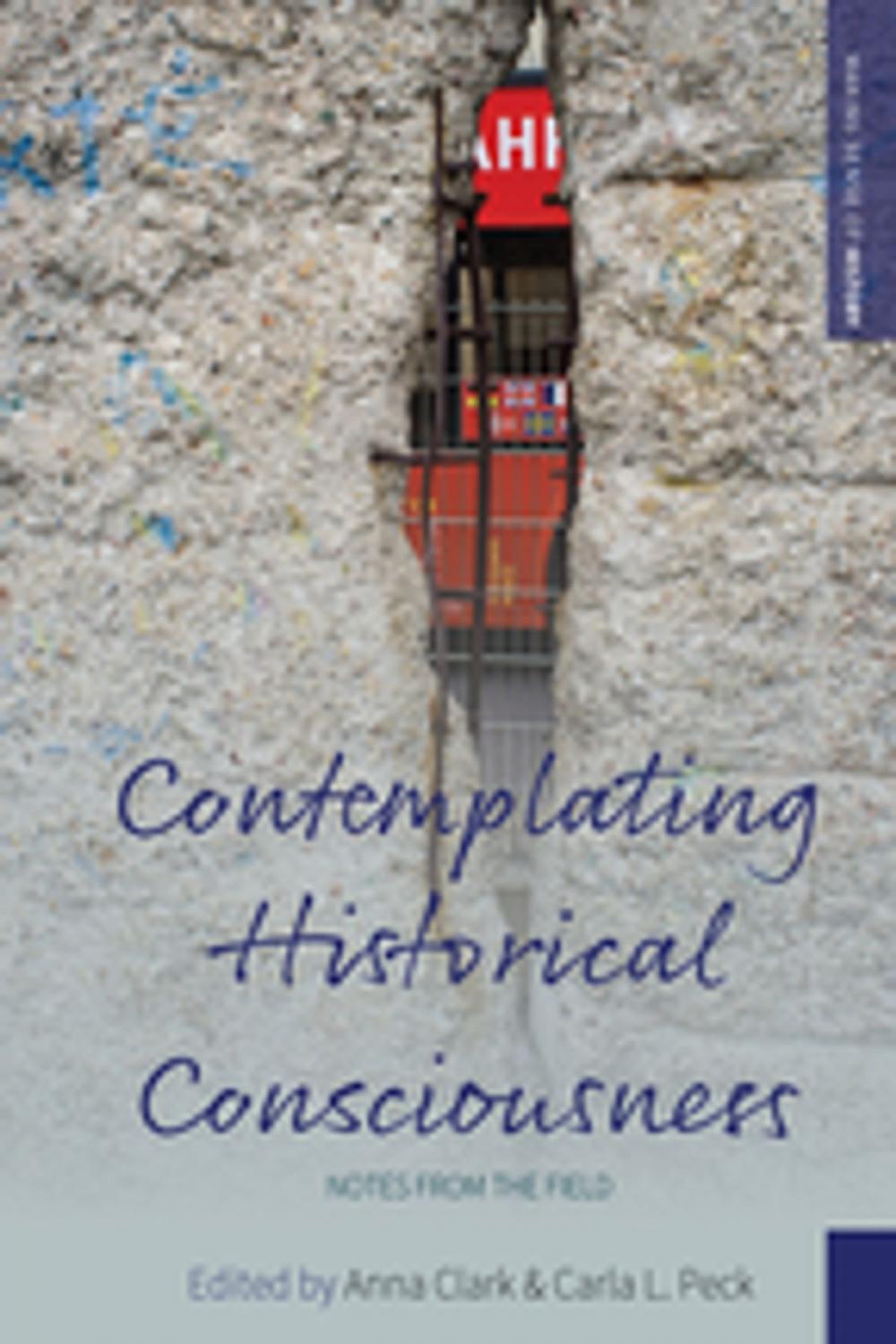 Big bigCover of Contemplating Historical Consciousness