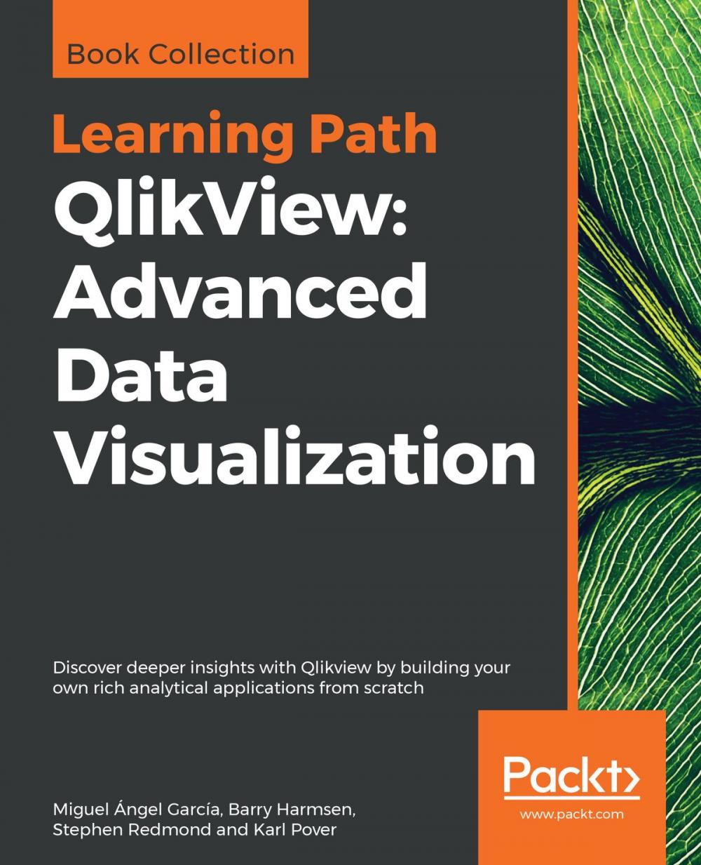 Big bigCover of QlikView: Advanced Data Visualization