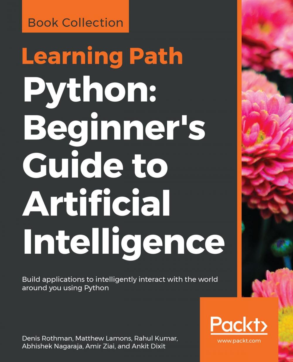 Big bigCover of Python: Beginner's Guide to Artificial Intelligence