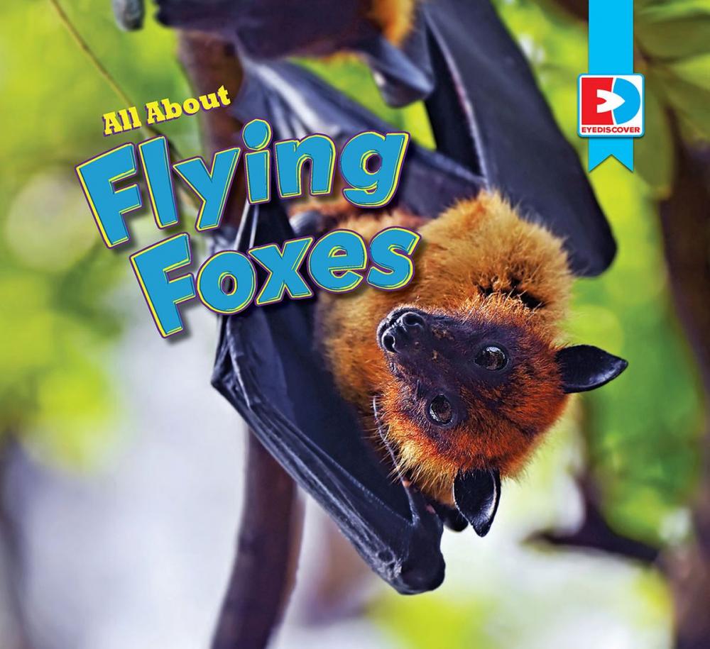 Big bigCover of All About Flying Foxes