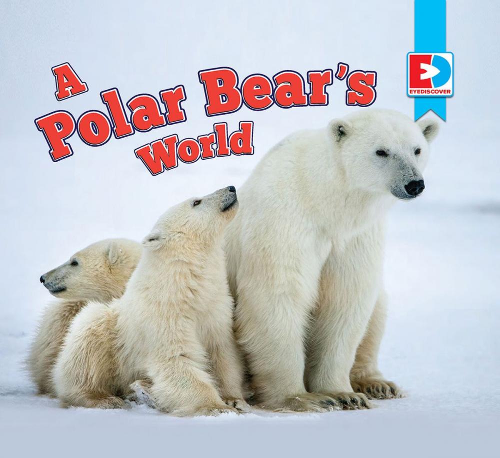 Big bigCover of A Polar Bear's World