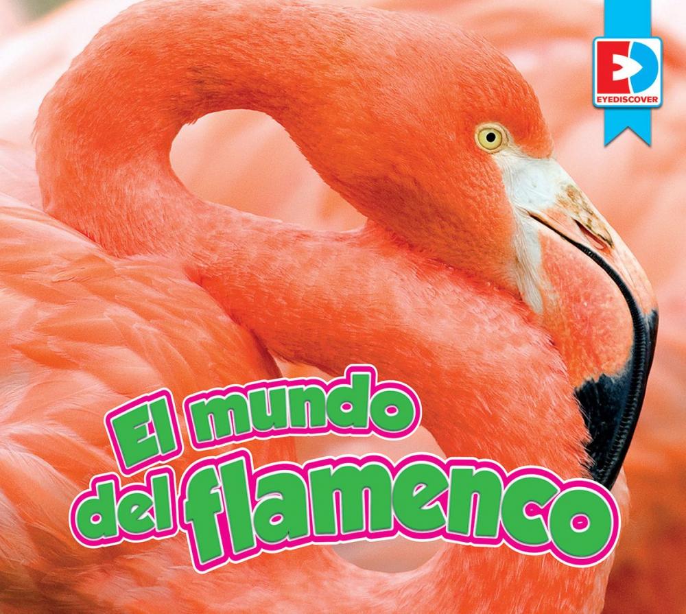 Big bigCover of El mundo del flamenco