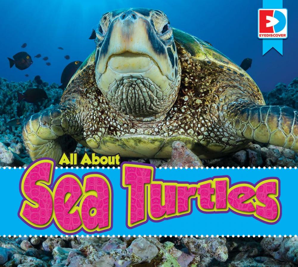 Big bigCover of All About Sea Turtles