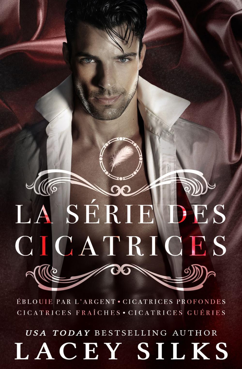 Big bigCover of La série des Cicatrices