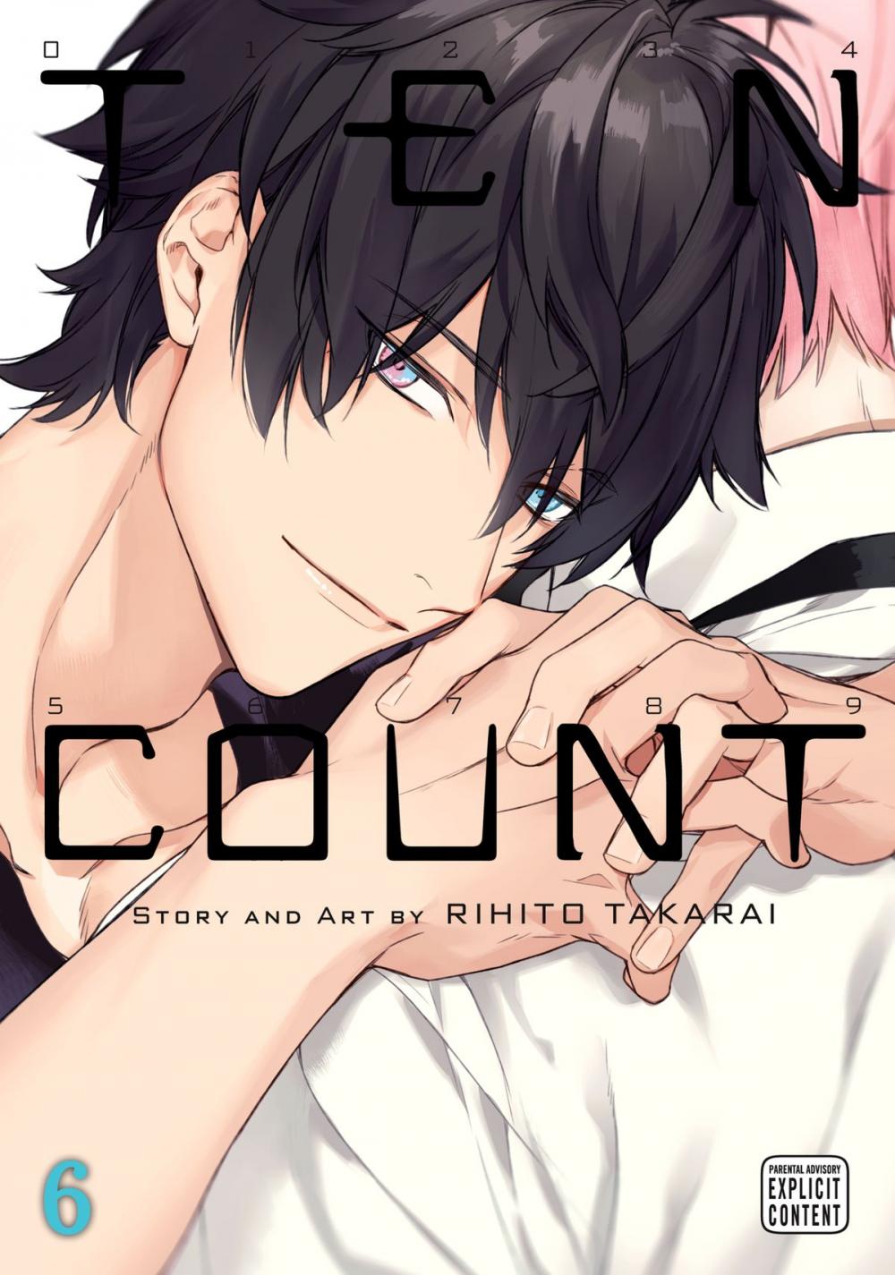 Big bigCover of Ten Count, Vol. 6 (Yaoi Manga)