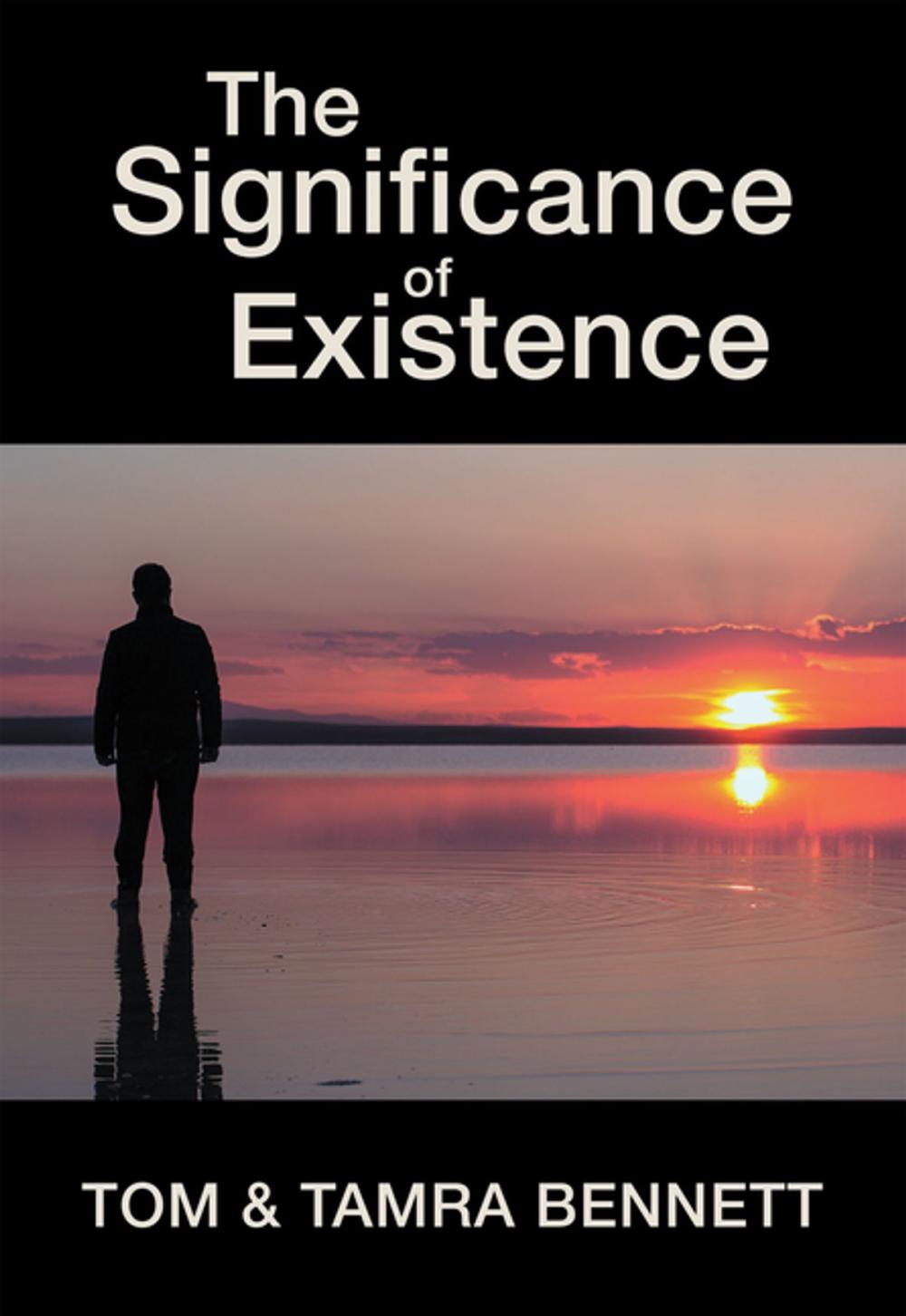 Big bigCover of The Significance of Existence