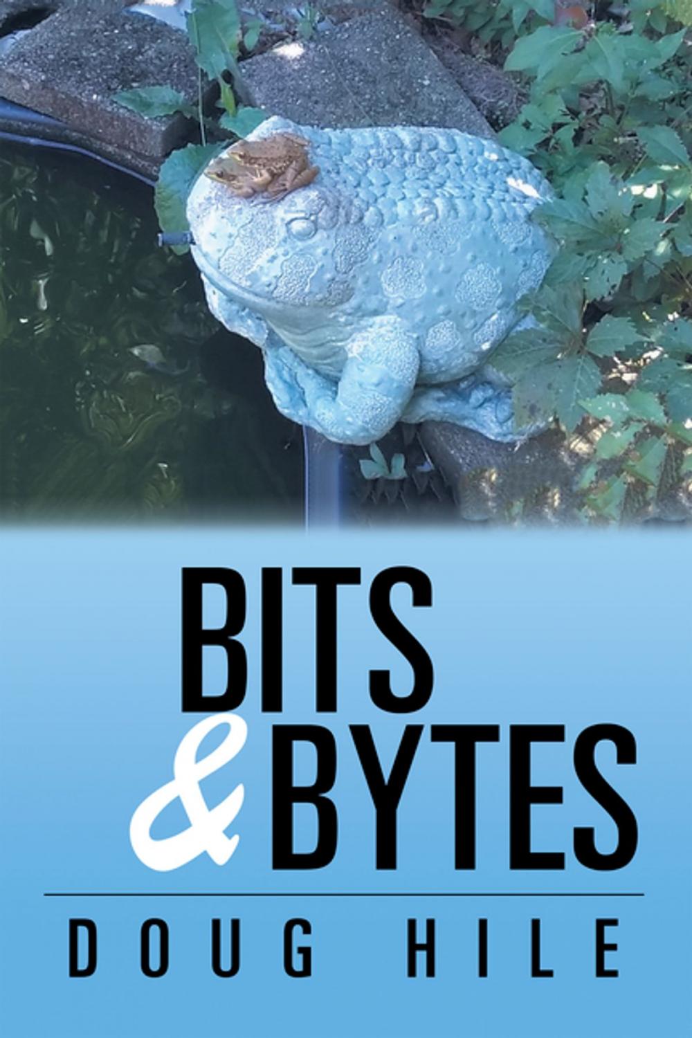 Big bigCover of Bits & Bytes