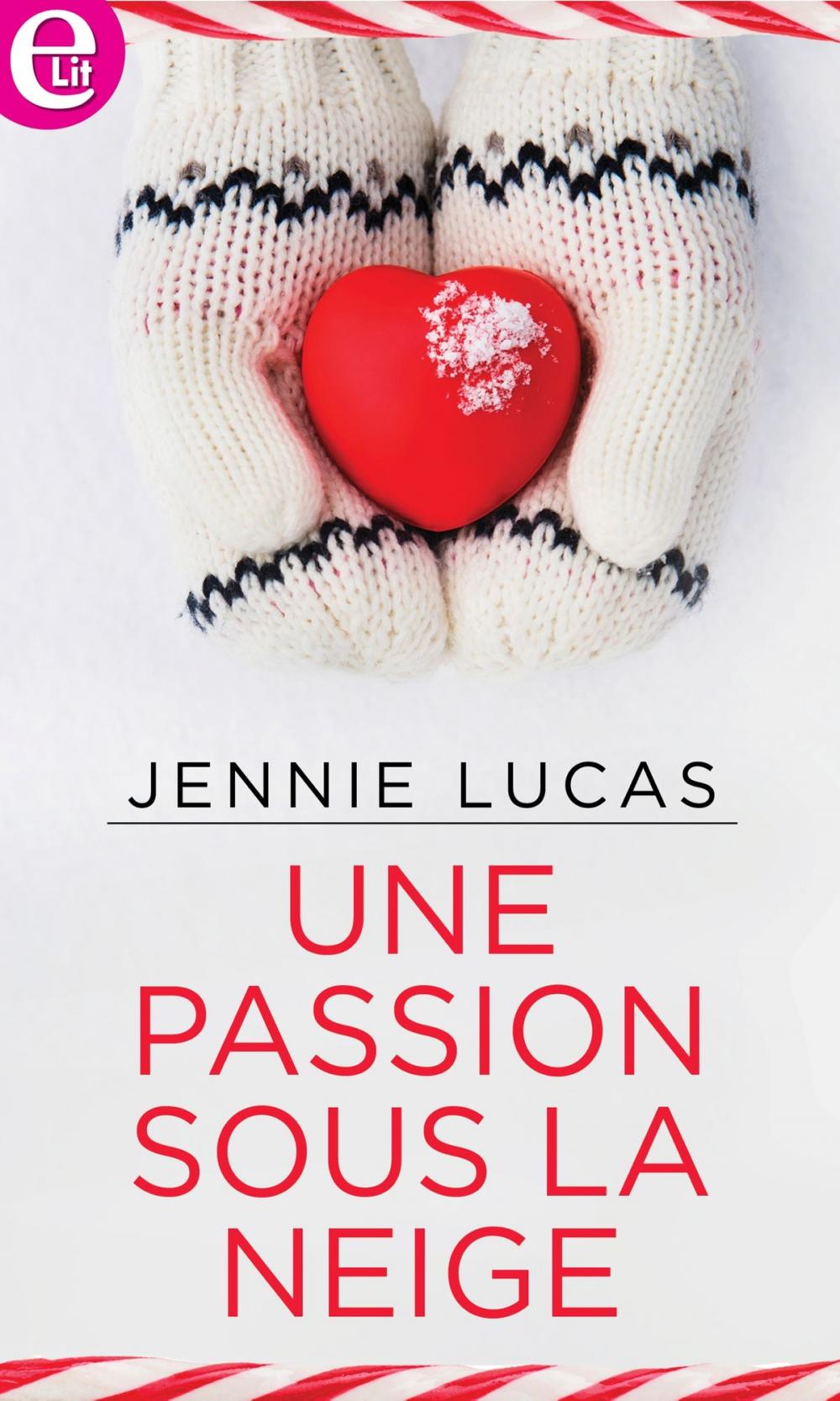 Big bigCover of Une passion sous la neige